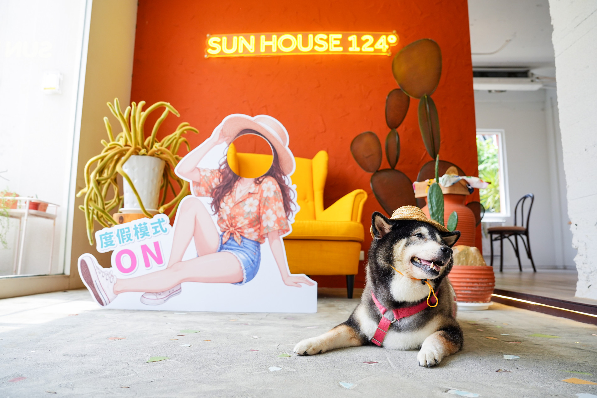 Sun House｜毛起來!夏日時尚秀